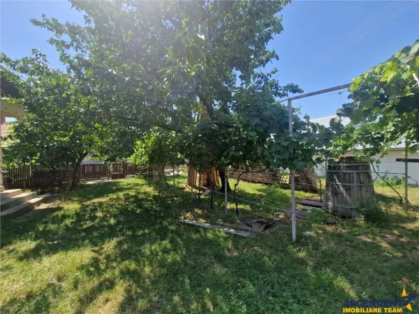 Casă 3 camere Malu Vanat - poza 7