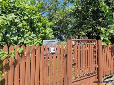 Casă 3 camere Malu Vanat - poza 8