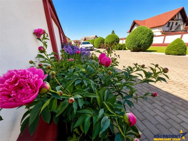 Casă 5 camere Brașov - poza 13