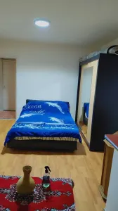 Apartament 2 camere Vulcan - poza 2