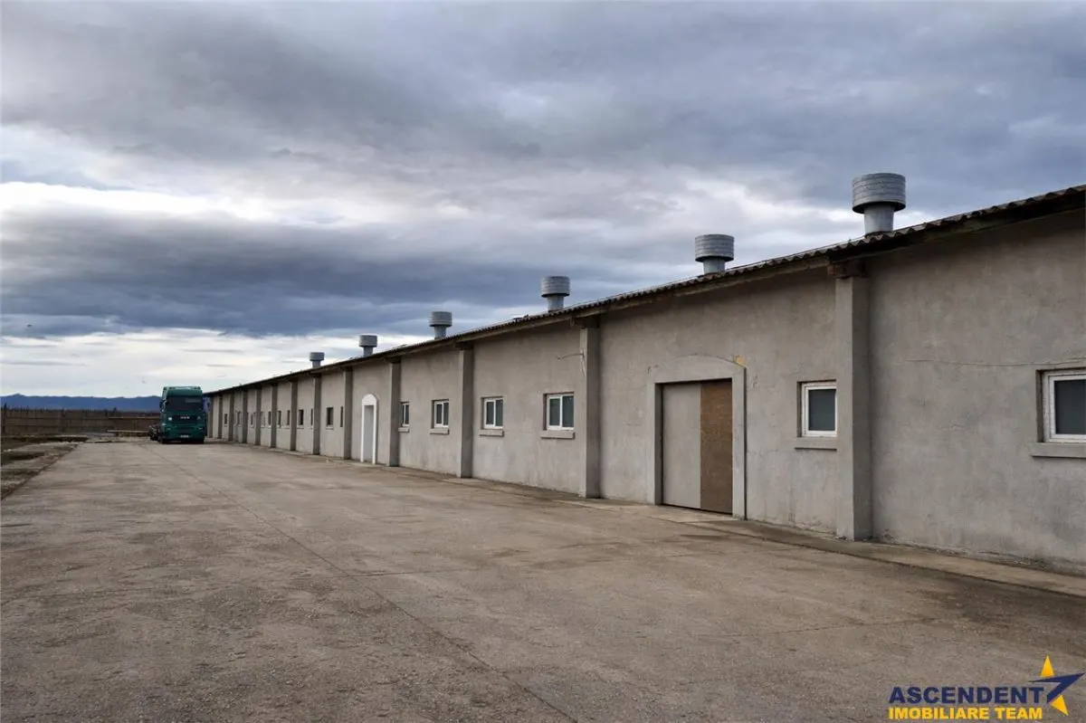 Spațiu industrial Halchiu - poza 1