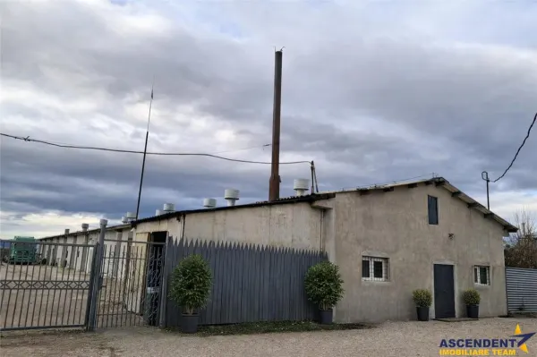 Spațiu industrial Halchiu - poza 13