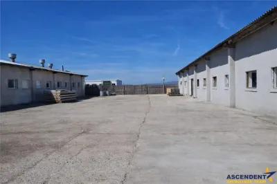 Spațiu industrial Halchiu - poza 5