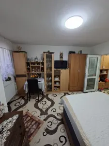 Apartament 1 camera Baia de Aries - poza 2