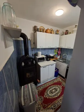 Apartament 1 camera Baia de Aries - poza 3