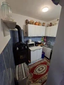 Apartament 1 camera Baia de Aries - poza 3