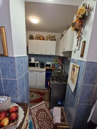 Apartament 1 camera Baia de Aries - poza 4