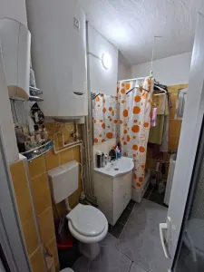 Apartament 1 camera Baia de Aries - poza 6
