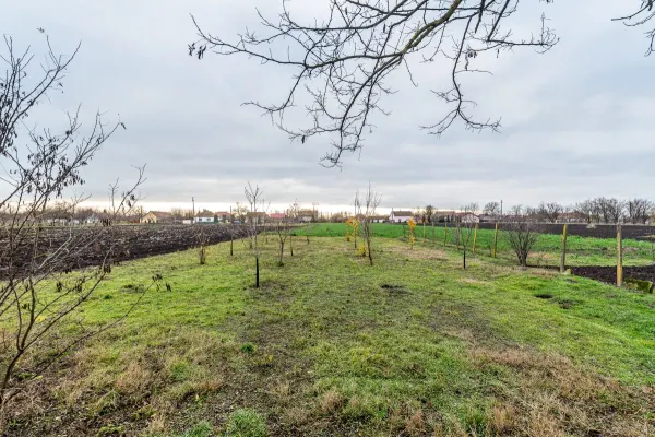 Casă 3 camere Dorobanți - poza 5