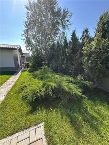 Casă 3 camere Gulia - poza 20