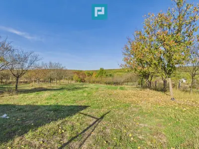 Casă 6 camere Sumugiu - poza 9