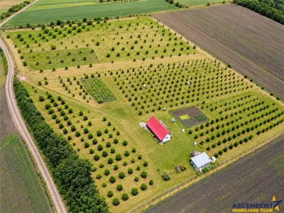 Afacere la cheie, dar si refugiu intr -o oaza de liniste in peisaj pitoresc: 25.624 mp compacte/Moisa, Mures - Moisa