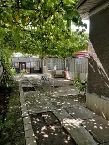 Casă 4 camere Novacesti - poza 2