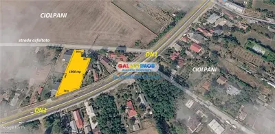 Teren 1900 mp la DN1 Ciolpani Ilfov zona mixta - Ciolpani