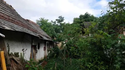 Casă 3 camere Peregu Mic - poza 4