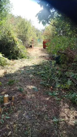 Casă 3 camere Peregu Mic - poza 7