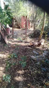 Casă 3 camere Peregu Mic - poza 8