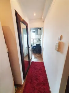 Apartament 1 camera Timișoara - poza 4