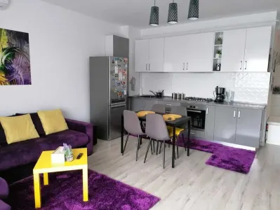 Apartament 3 camere Valea Lupului - poza 2