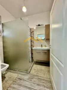Casă 4 camere Sânmihaiu Român - poza 20