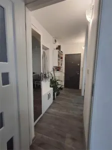 Apartament 2 camere Timișoara - poza 8