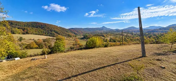 Casă 2 camere Dumbravita de Codru - poza 8