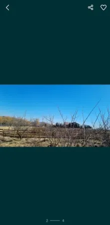Teren Iași - poza 4
