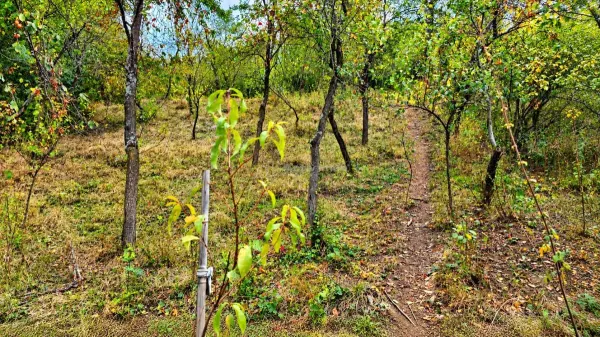 Casă 5 camere Ilidia - poza 35