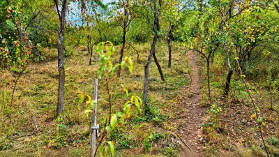 Casă 5 camere Ilidia - poza 35