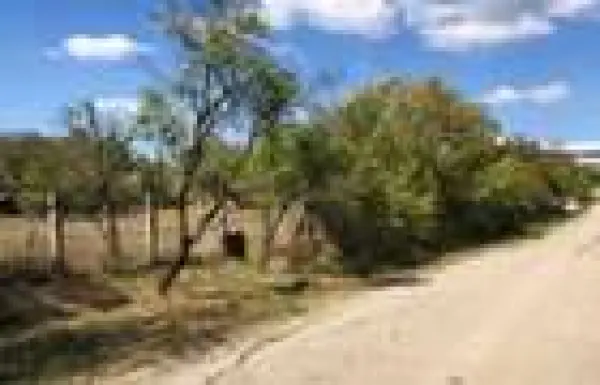 Casă 3 camere Silindia - poza 8