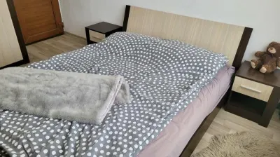 Apartament 2 camere Timișoara - poza 2