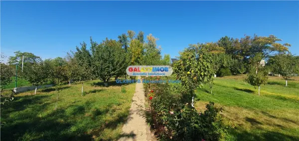 Casă 5 camere Sarulesti - poza 19