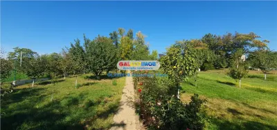 Casă 5 camere Sarulesti - poza 19