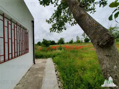 Casă 3 camere Casicea - poza 44