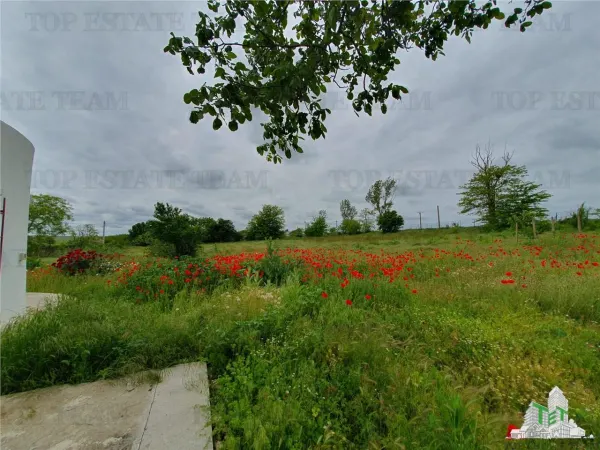 Casă 3 camere Casicea - poza 45
