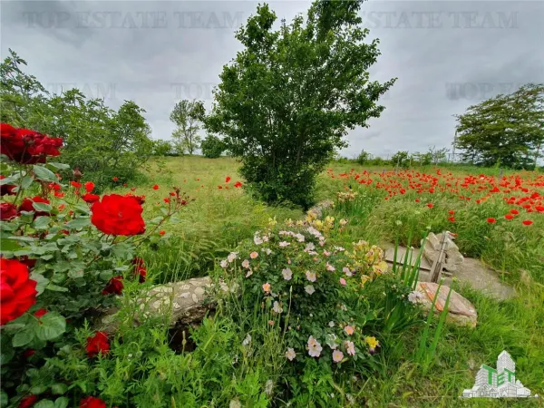 Casă 3 camere Casicea - poza 68