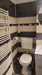 Apartament 2 camere Timișoara - poza 10