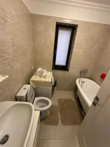 Apartament 3 camere Timișoara - poza 5