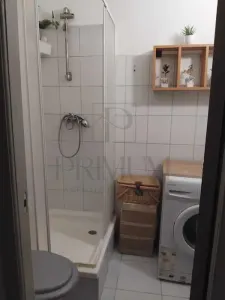 Apartament 1 camera Timișoara - poza 5