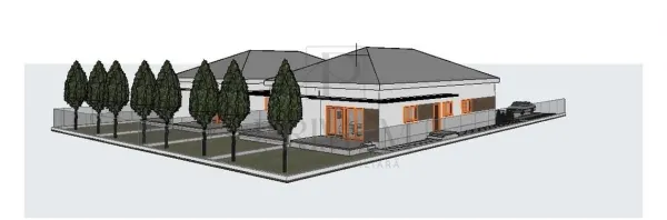 Casă 3 camere Moșnița Nouă - poza 4