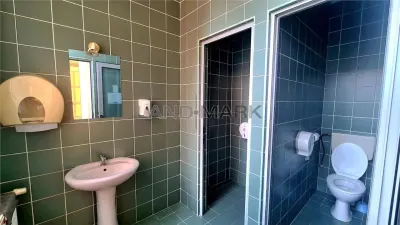 Spațiu comercial Timișoara - poza 15