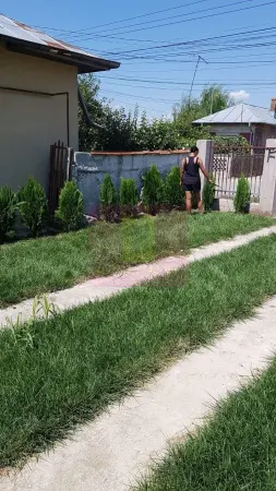 Casă 5 camere Berceni - poza 2