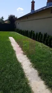 Casă 5 camere Berceni - poza 3
