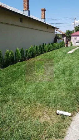 Casă 5 camere Berceni - poza 5