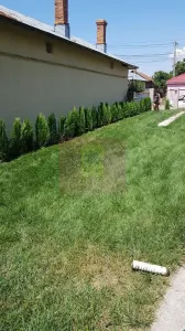 Casă 5 camere Berceni - poza 5