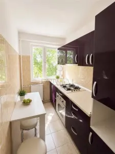 Apartament 2 camere Timișoara - poza 4