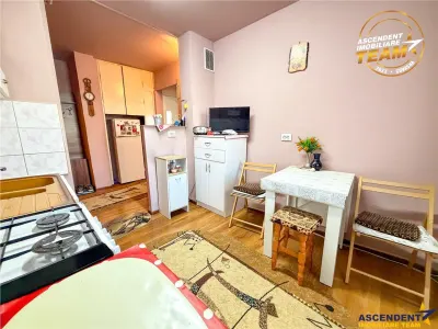 Apartament 2 camere Sfântu Gheorghe - poza 14
