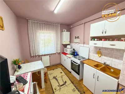 Apartament 2 camere Sfântu Gheorghe - poza 4