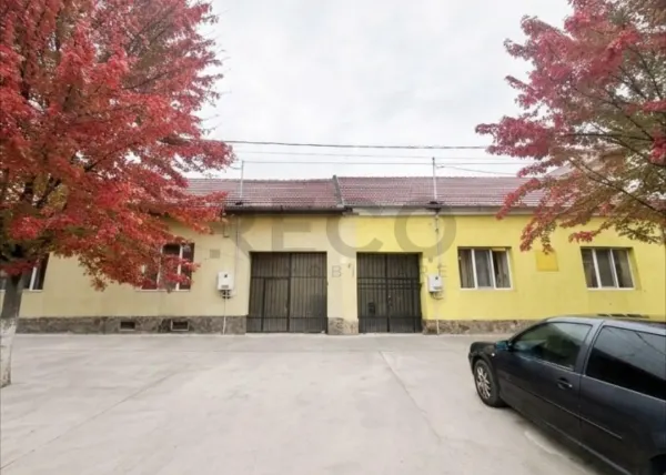 Casă 9 camere Tinca - poza 2