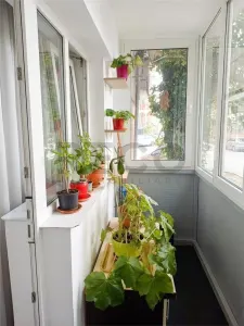 Apartament 4 camere Oradea - poza 10
